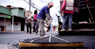 Bacheo