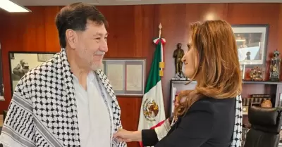 Embajadora de Palestina en M�xico se re�ne con Fern�ndez Noro�a