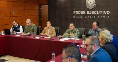 Gobierno federal y gobierno de Marina del Pilar