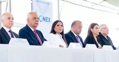Sector empresarial