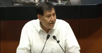Gerardo Fern�ndez Noro�a