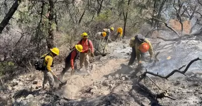 Incendio forestal en Agua Prieta