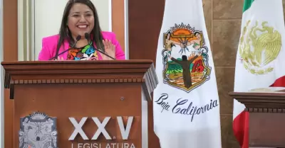 Diputada Evelyn S�nchez S�nchez