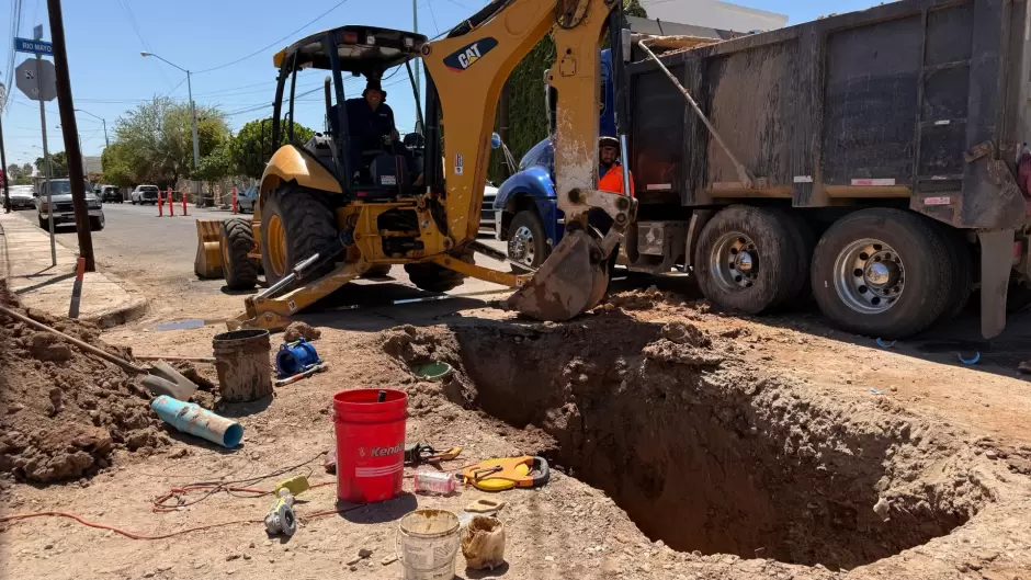 Repone tuber�a