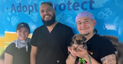 Unidad m�vil Pet Health Express