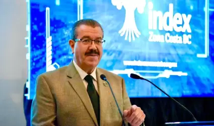 Federico Serrano Ba�uelos, presidente de Index