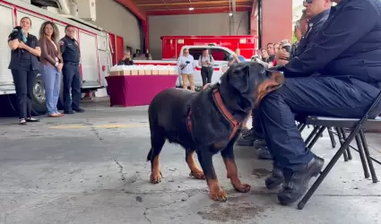 H�roes de cuatro patas