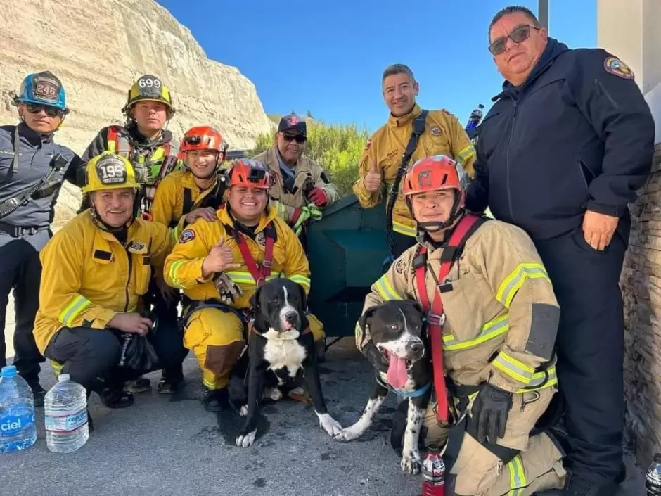 H�roes de cuatro patas