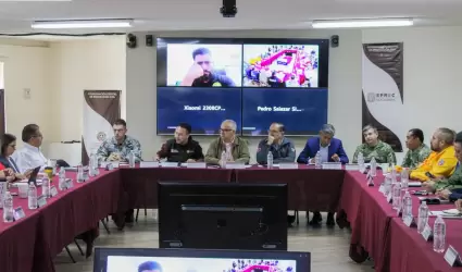 Consejo Estatal de Protecci�n Civil