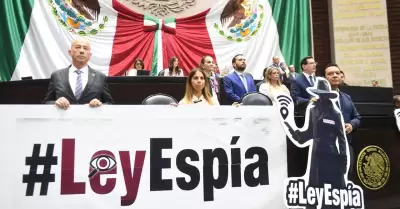 Ley Esp�a y el Gobierno Esp�a