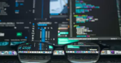 Fibra �ptica impulsa transformaci�n digital y servicios como videovigilancia par