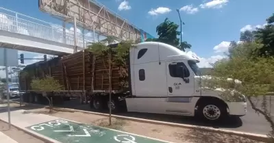 Tr�iler de madera