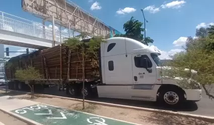 Tr�iler de madera