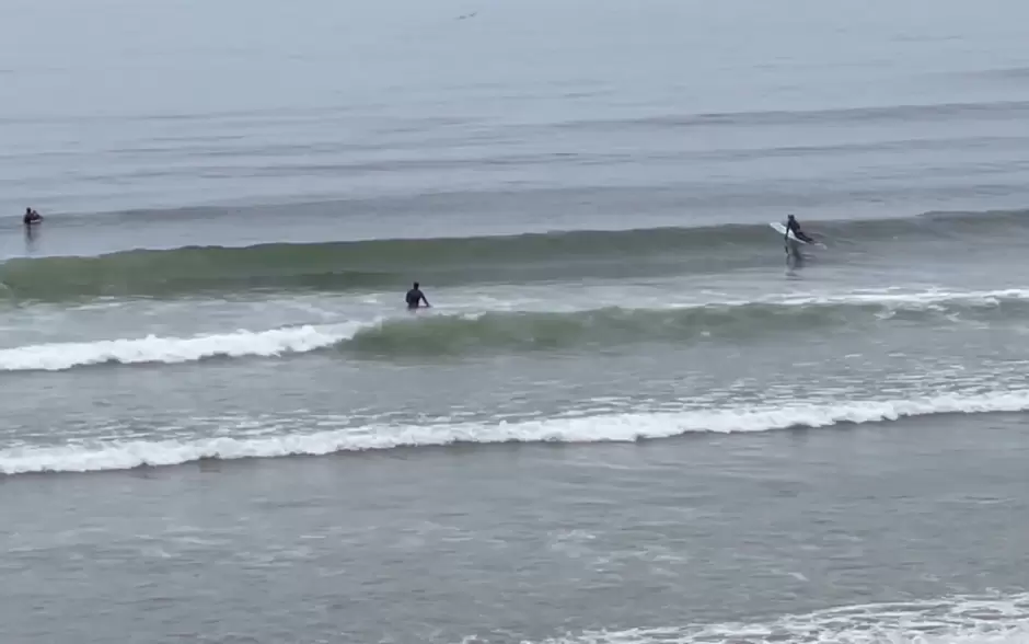 Crisis del surf