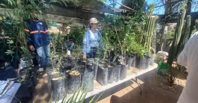 Donaci�n de �rboles en el vivero municipal