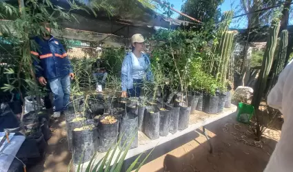 Donaci�n de �rboles en el vivero municipal
