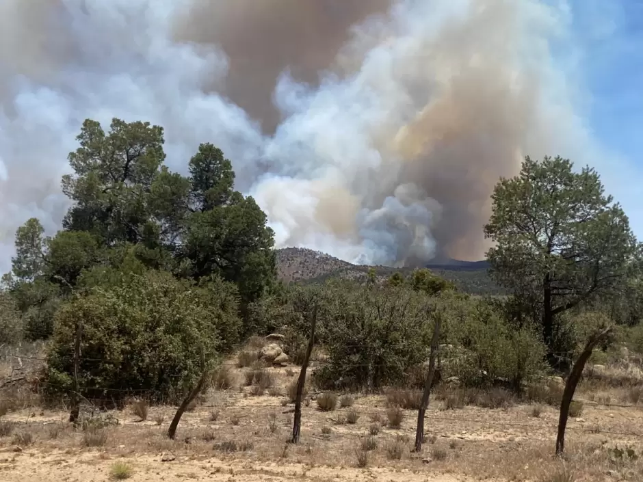 CESPM se suma al combate de incendios forestales en Tecate