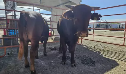 Expo Agro San Quint�n 2025