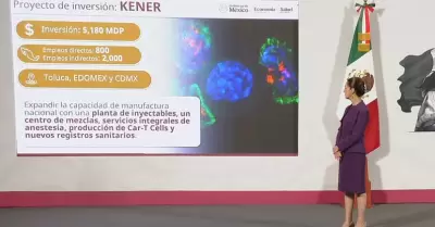 Inversi�n de farmac�uticas