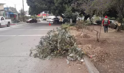 Arroyo Aguajito