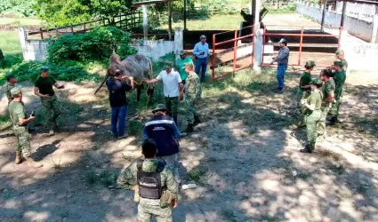 Secretar�a de Agricultura y Desarrollo Rural (AGRICULTURA) y la Secretar�a de la
