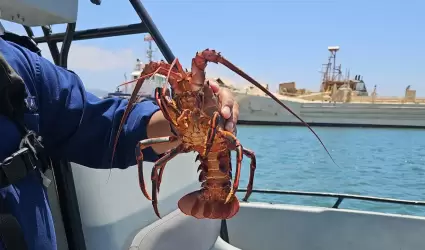 Langosta