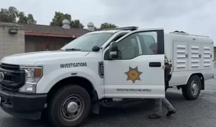 Servicio para Animales del Condado de San Diego