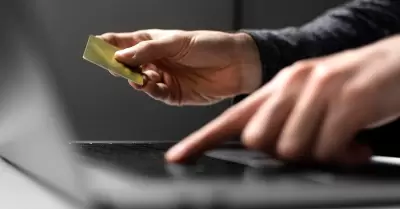 Fraudes cibern�ticos