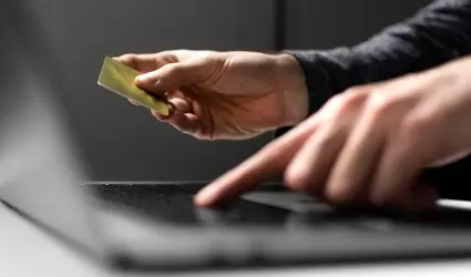 Fraudes cibern�ticos