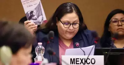 Reconocen recomendaciones del Comit� de la ONU