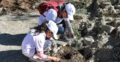 Reforestaci�n en parque de Tijuana