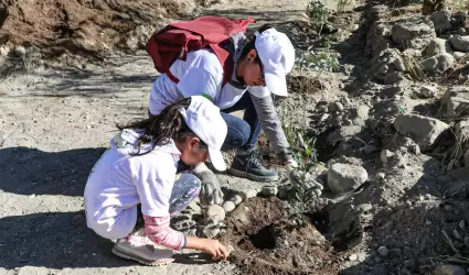 Reforestaci�n en parque de Tijuana