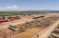 "Totalmente exagerada" decisi�n de cerrar frontera por nuevo caso de gusano barrenador: Sheinbaum