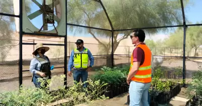 Vivero