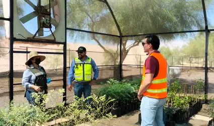 Vivero