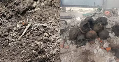 Restos �seos encontrados en Ciudad de M�xico