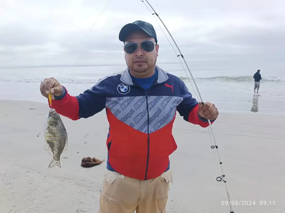 Torneo de pesca deportiva de playa en San Quint�n