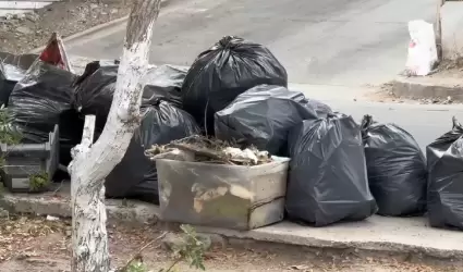 Camino Verde