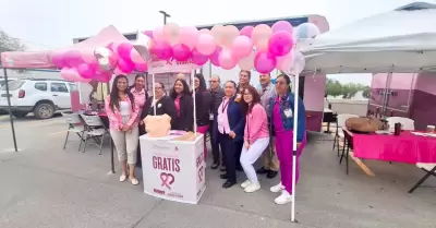 M�dulo Rosa