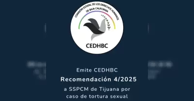 Recomendaci�n 4/2025