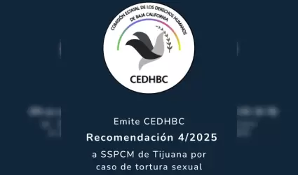 Recomendaci�n 4/2025