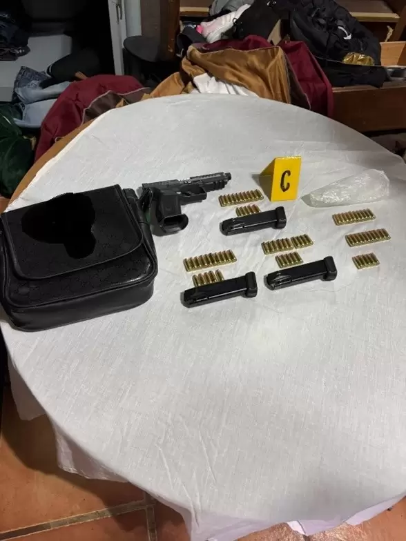 Narc�ticos, armas y veh�culos