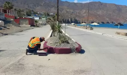 Espacios p�blicos de Isla de Cedros