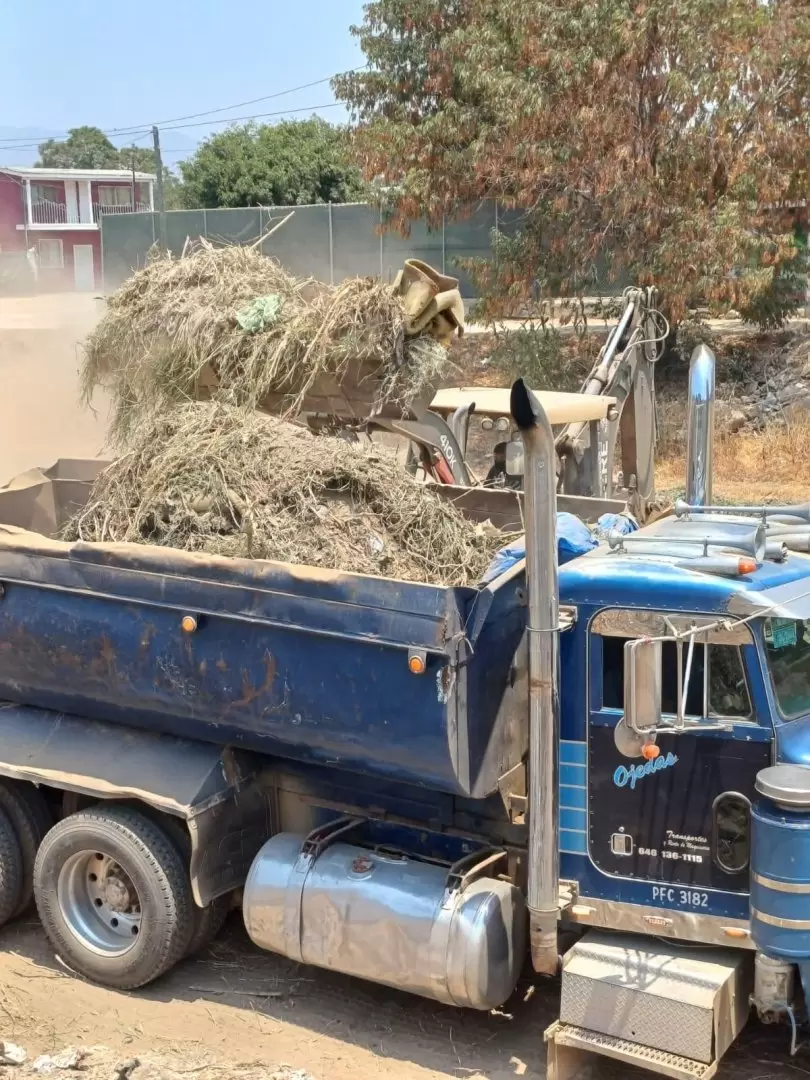 Limpieza de arroyo Ensenada