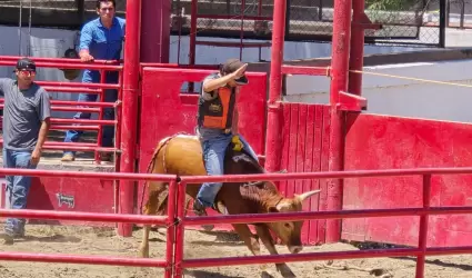Caliente jaripeo