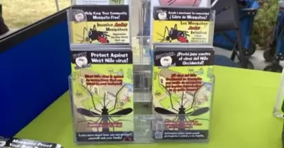Informaci�n sobre mosquitos