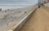 De la basura al arte: Playas de Tijuana estrena andador hecho con pl�stico reciclado