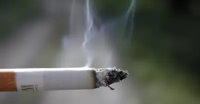 cigarrillo, fumar, tabaco, cigarro, prohibici�n de fumar, fumador