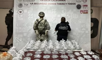 Aseguran m�s de 8 kg de drogas