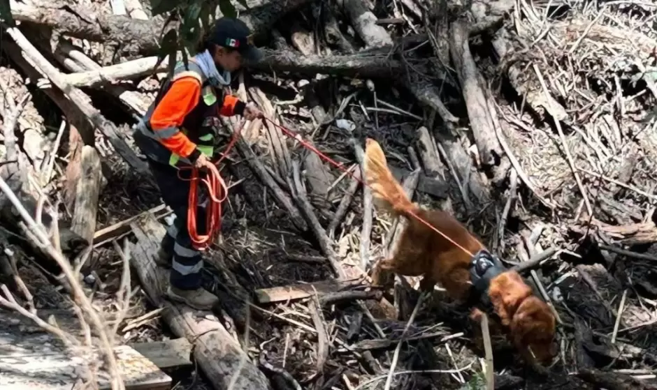 Miriam y Milagro en labores de b�squeda en Texas
